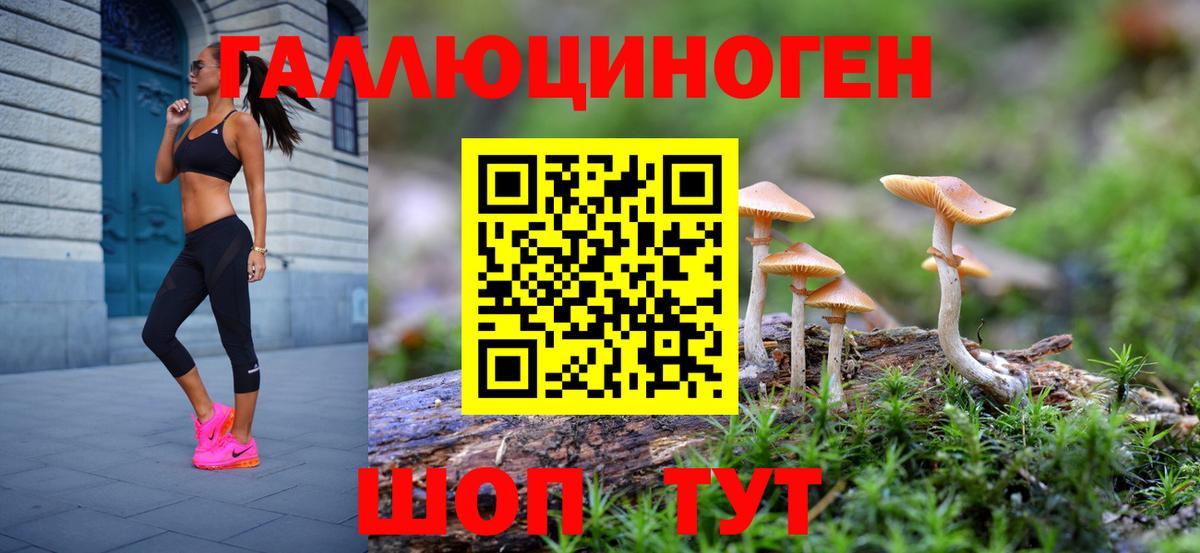 Псилоцибиновые грибы MAGIC MUSHROOMS  Вход с VPN  Псилоцибиновые грибы GOLDEN TEACHER  Усть-Илимск 